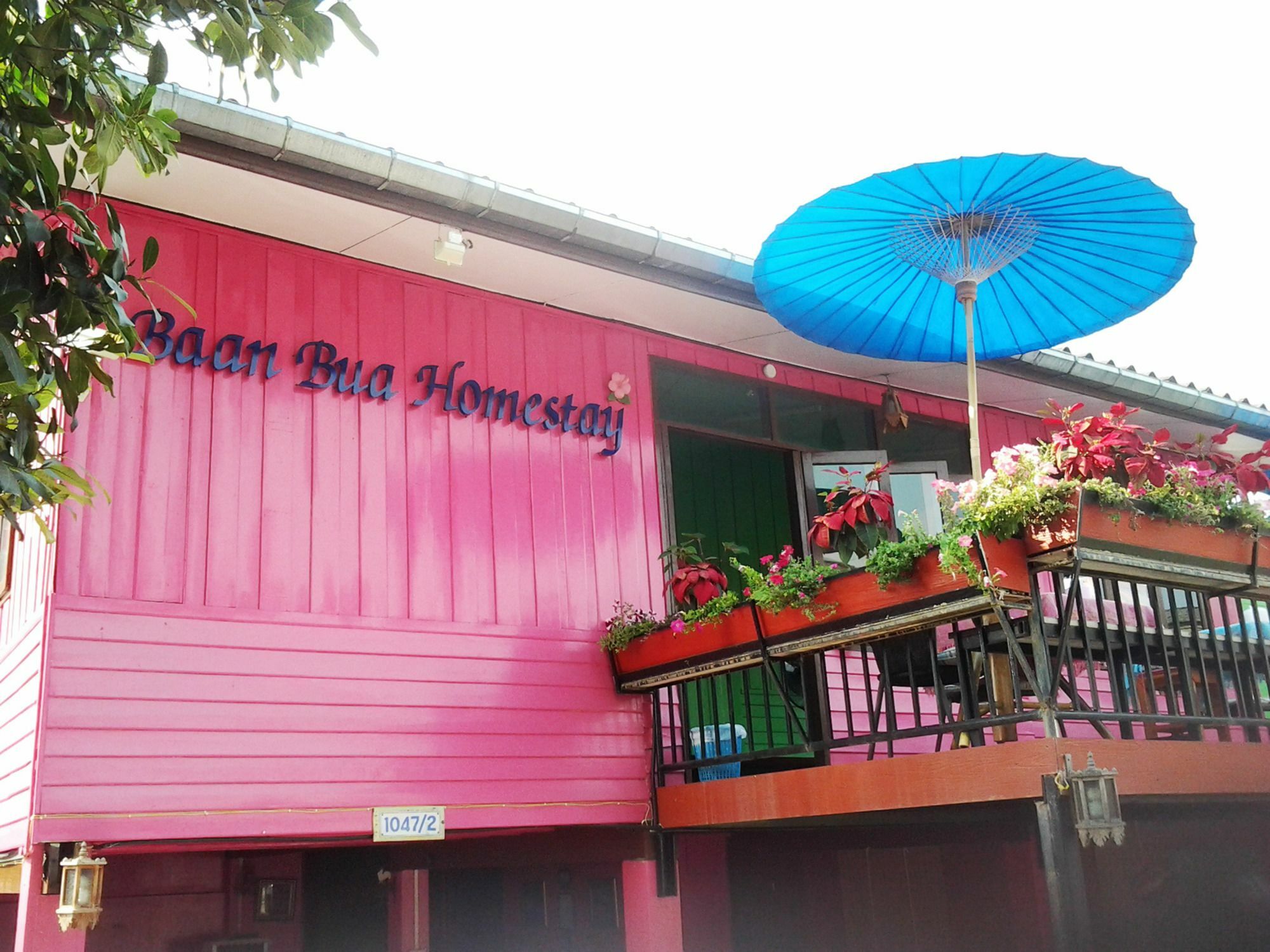 Baan Bua Homestay Τσιανγκ Ράϊ Εξωτερικό φωτογραφία